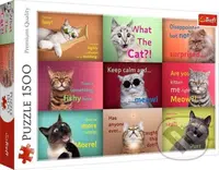 Zábavné mačacie tváre - puzzle z kategorie Zvířata