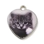 Alloy Pendant