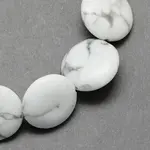 Flat Round Gemstone Natural Howlite Stone Beads Strands