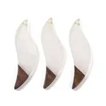 Resin & Wood Big Pendants