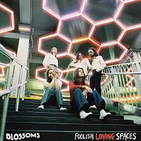 Blossoms – Foolish Loving Spaces LP