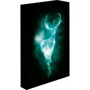Epee Merch Obraz LED svietiaci Harry Potter Patron