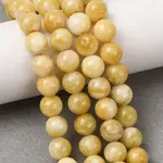 Dyed Natural Malaysia Jade Beads Strands