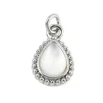 Natural Shell Pendants
