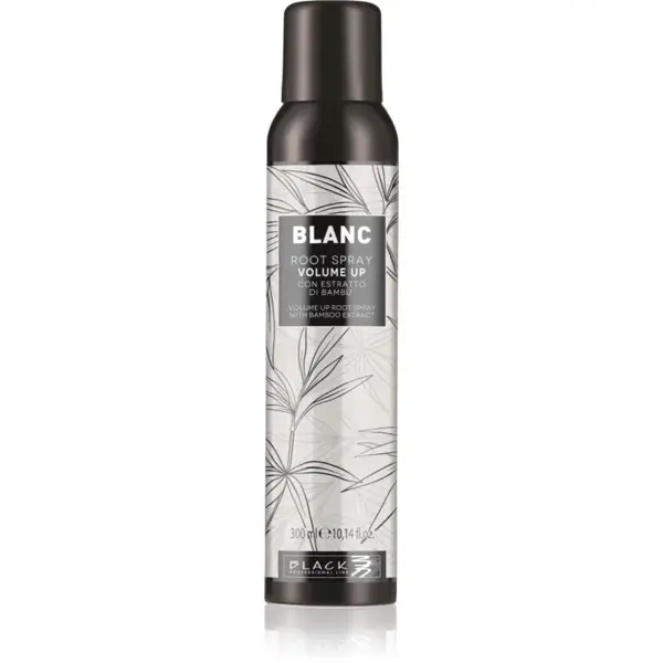 Black Professional Line Line Volume Up Root Spray objemový sprej pre jemné vlasy 300 ml