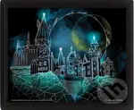 Harry Potter Obraz 3D - Rokfort