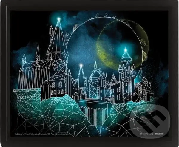 Harry Potter Obraz 3D - Rokfort