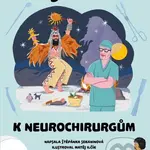 Od šamanů k neurochirurgům - Štěpánka Sekaninová - kniha z kategorie Psychologie