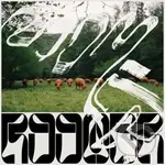 Roomer:  Skice LP - Roomer