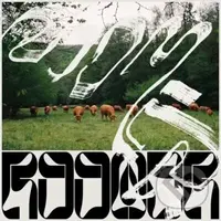 Roomer:  Skice LP - Roomer