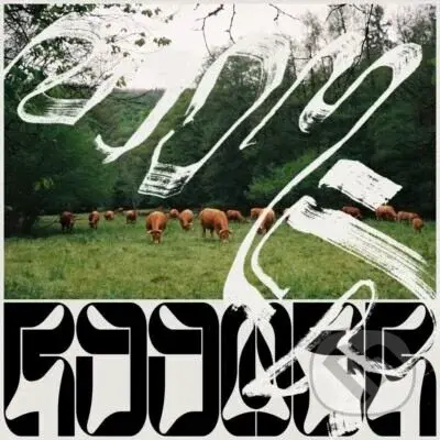 Roomer:  Skice LP - Roomer