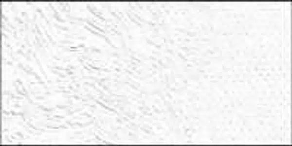 Olejová barva Old Holland 40ml – 001 Titanium White