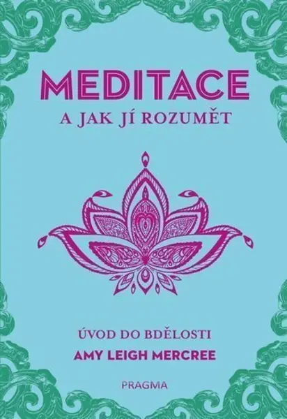 MEDITACE a jak jí rozumět - Amy Leigh Mercree