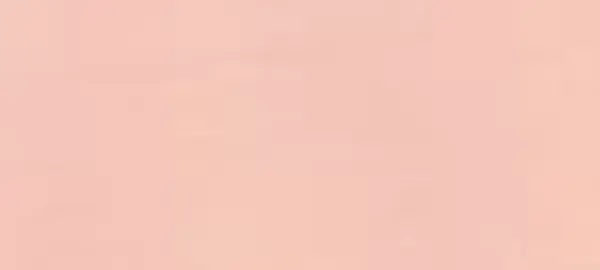 Renesans Akryl 100ml – 36 Tělová tmavá