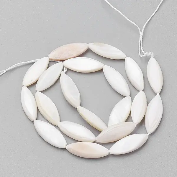 Natural Shell Beads Strands