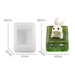 DIY Silicone Display Molds