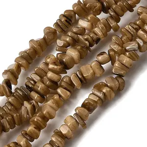 Natural Freshwater Shell Beads