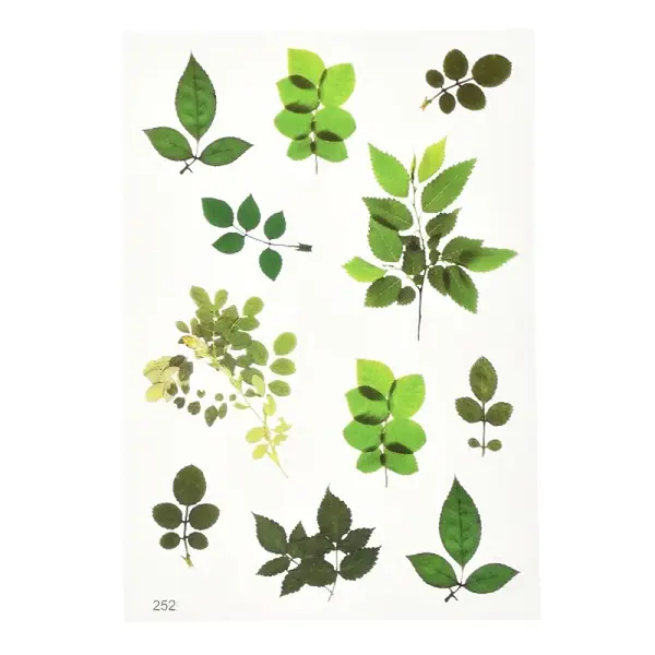 Waterproof Plastic Self Adhesive Stickers