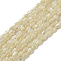 Natural Trochus Shell Beads Strands