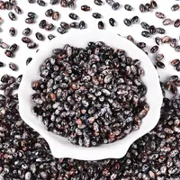 Spray Painted Glass Seed Beads