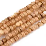 Natural Freshwater Shell Dyed Beads Strands