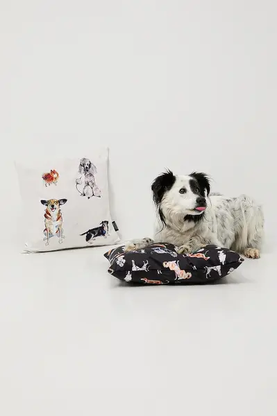 Dekorativní povlak na polštář Medicine 2-pack