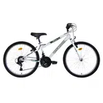 Juniorské kolo Reactor Colt 24" 9.0 M (17", 140-165 cm) bílá