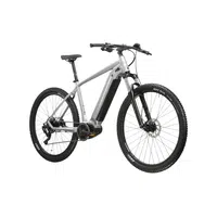 Horské elektrokolo Kross Hexagon Boost 3.0 29" Gen 004 M (18", 172-180 cm) stříbrná / černá / lesk