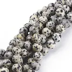 Natural Dalmatian Jasper Beads Strands