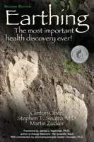 Earthing - Martin Zucker, Stephen T., M.D. Sinatra, Clinton Ober