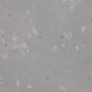 Dlažba Rako Castone ash 80x80 cm mat DAK81857.1