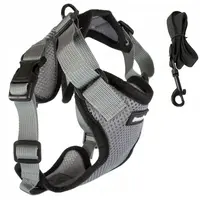 Postroj s vodítkom pre psa BRADY veľkosť M Farba: Sivá
