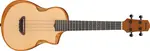 Ibanez AUT10 Natural