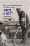 Krize a stát - Emil Voráček, kolektiv autorů, Miroslav Šepták, David Hubený