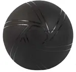 Sharp Shape Gymnastický míč PRO 55 cm černý