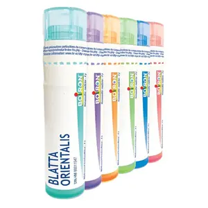 BOIRON Blatta orientalis CH15 4 g