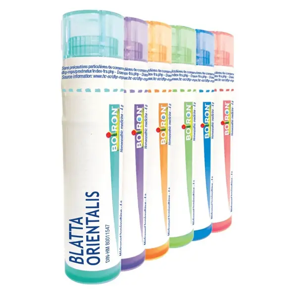 BOIRON Blatta orientalis CH15 4 g