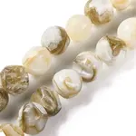 Natural Freshwater Shell Beads Strands
