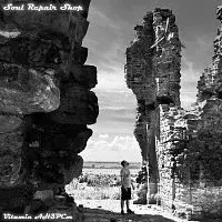 Vitamin AH3PCm – Soul Repair Shop