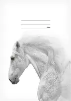 Školní sešit LUX A5 544 Kůň