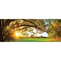 OBRAZ NA SKLE, krajina a příroda, 30/80 cm