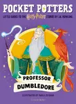Professor Dumbledore - Joanne K. Rowlingová