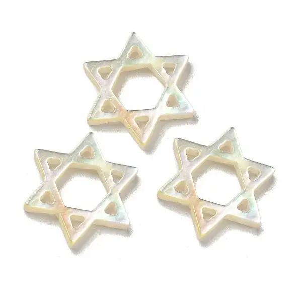 Natural White Shell Star of David Multi-Strand Links