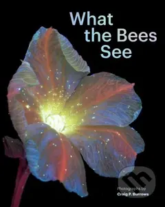 What the Bees See - Craig P. Burrows