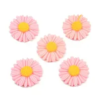 Opaque Resin Cabochons