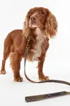 Vodítko pro psa Barbour Reflective Tartan Dog 100 cm