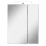 Xora ZRCADLOVÁ SKŘÍŇKA, dub artisan, 55/70/20 cm