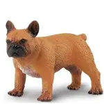 Safari® Samice francouzského buldočka