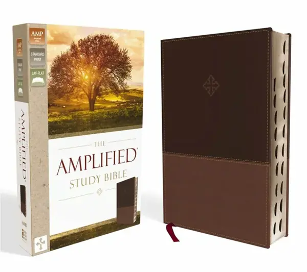 The Amplified Study Bible, Leathersoft, Brown, Thumb Indexed - Zondervan