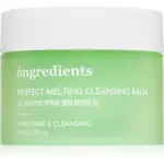 Ongredients Perfect Melting Cleansing Balm odličovací a čistiaci balzam pre rozjasnenie a hydratáciu 100 ml